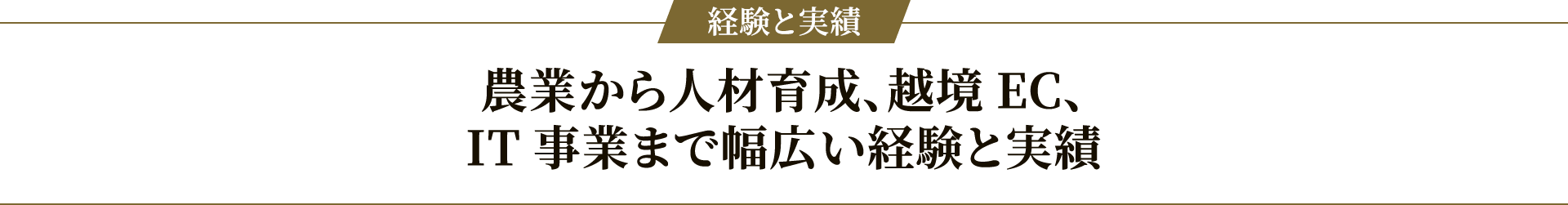 経験と実績:農業からIT事業まで